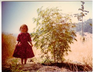 "Southern Humboldt County California, August, 1978. A volunteer sativa plant out in the meadow. For decades, families and children have lived in multiple contexts which include cannabis culture."  -- Ursi Reynolds.