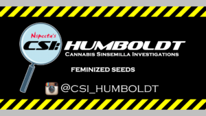 CSI Humboldt